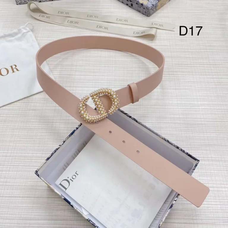 Dior Montaigne Crystal Belt - Image 10