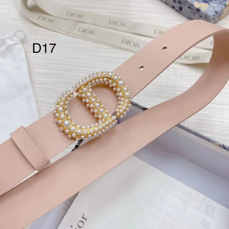 Dior Montaigne Crystal Belt - Image 9