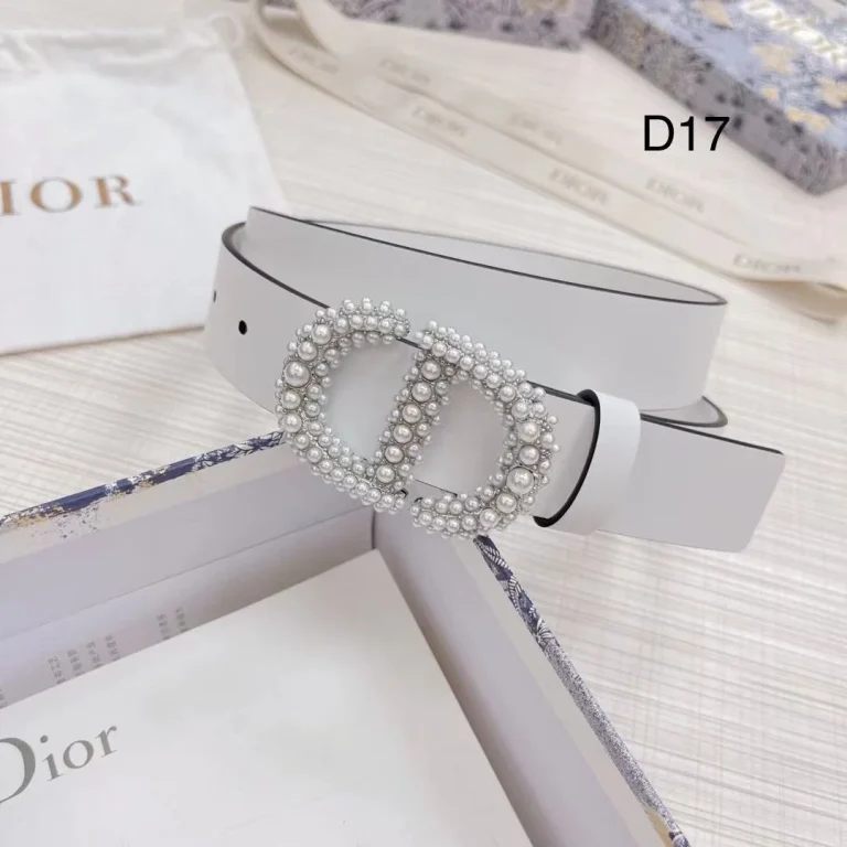 Dior Montaigne Crystal Belt - Image 8