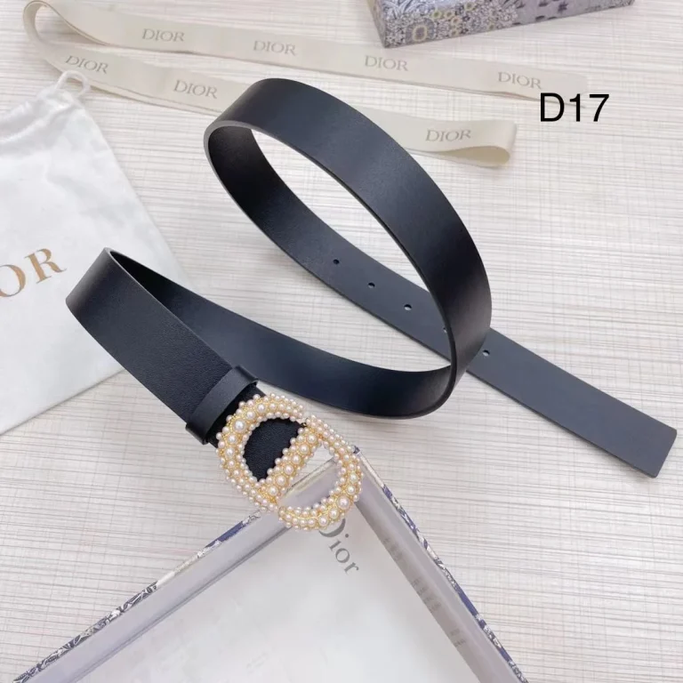 Dior Montaigne Crystal Belt - Image 7