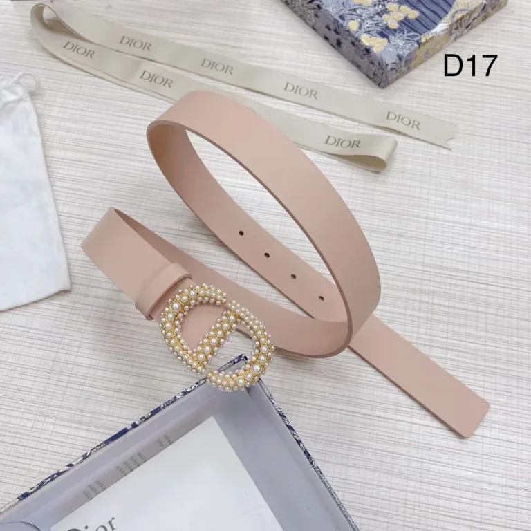 Dior Montaigne Crystal Belt - Image 6