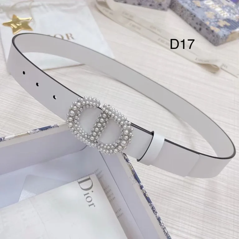 Dior Montaigne Crystal Belt - Image 3