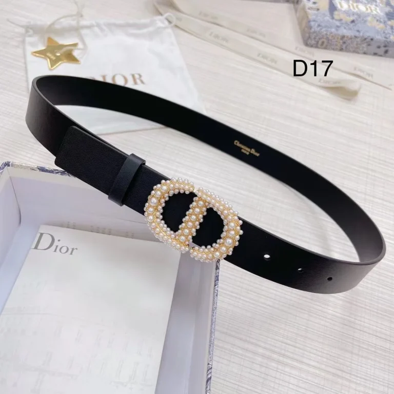 Dior Montaigne Crystal Belt - Image 2
