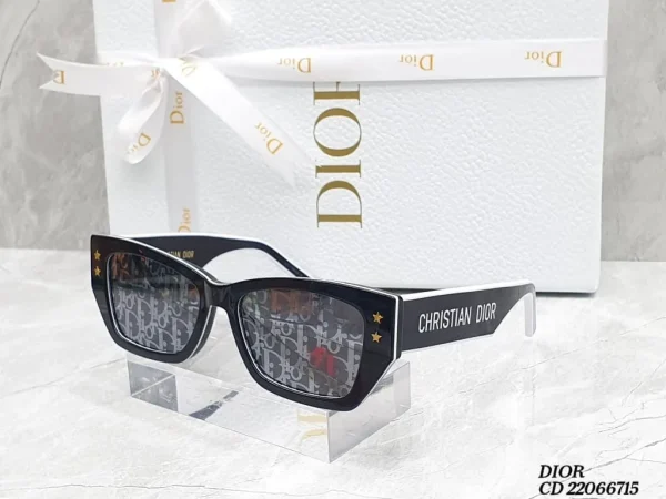 Dior Pacific S2U Rectangular Sunglasses